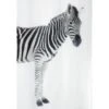 Spirella Duschvorhang Textil Zebra 180 Cm X 200 Cm Black -Wenko Verkaufs-Shop 141928 picture 1