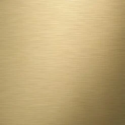 Tiger Tune Toilettenpapierhalter Mit Deckel Messing Gebürstet / Schwarz -Wenko Verkaufs-Shop 4008911326062 4621 8