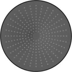 Wenko Regenduschkopf Ultimate Shower Schwarz/Grau Ø 25 Cm -Wenko Verkaufs-Shop 903630 1068 16